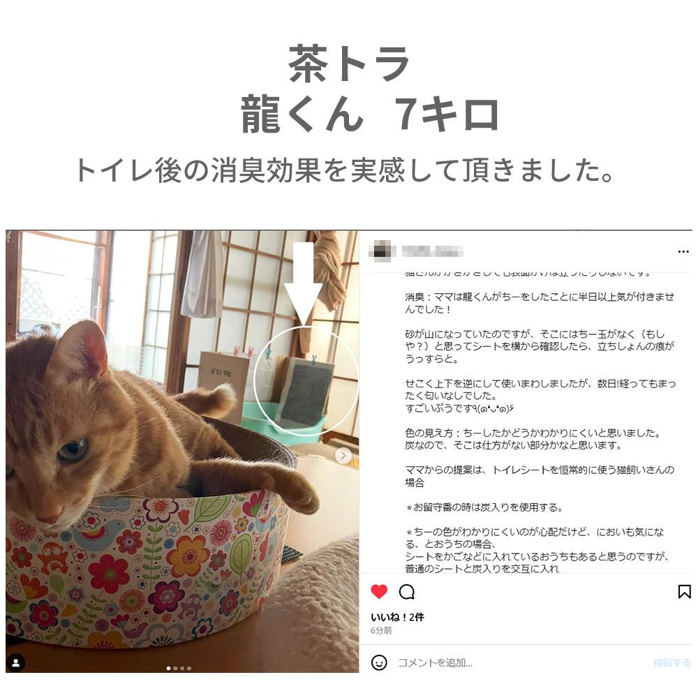 厚型