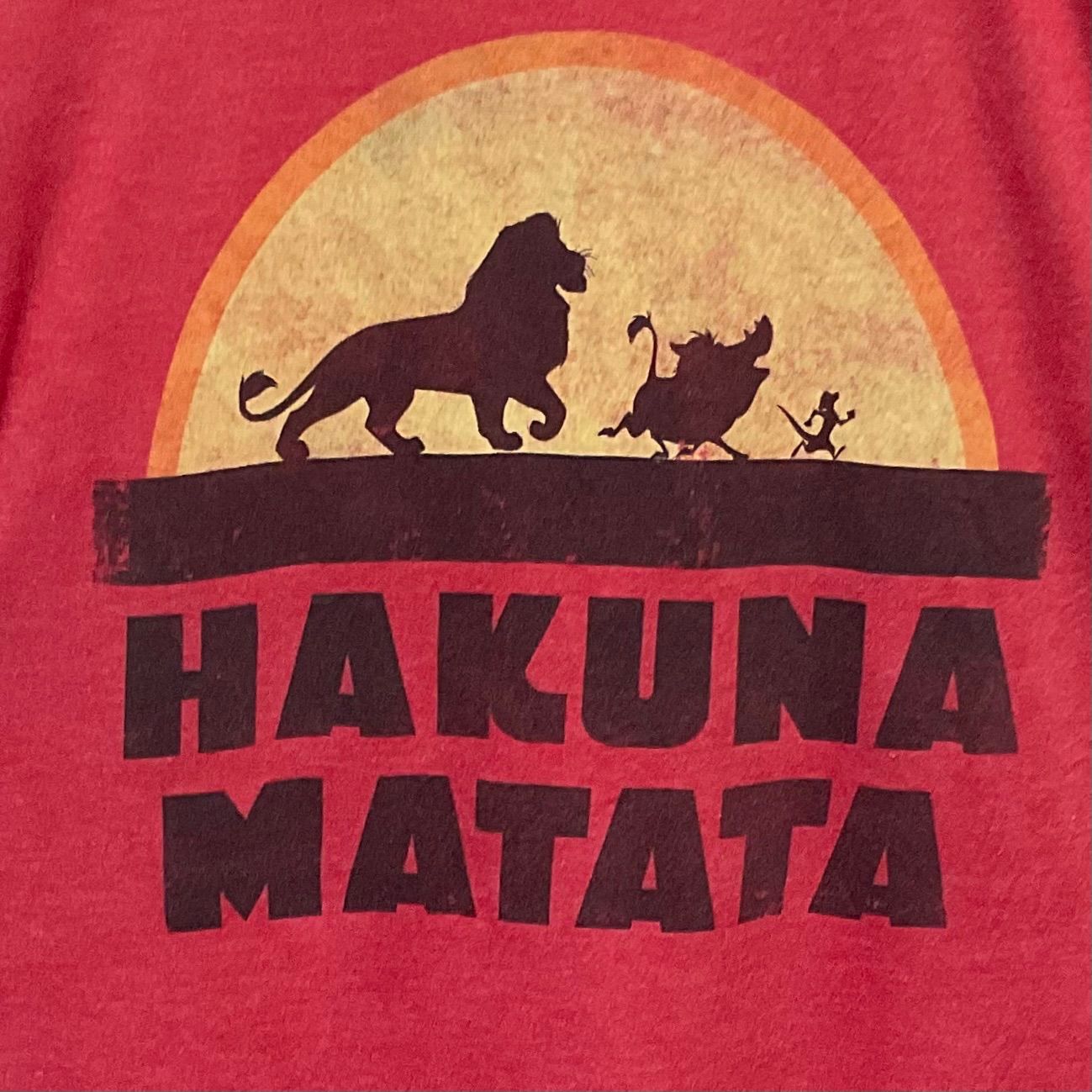 US古着 ライオンキングLION KING ディズニーDisney ハクナ・マタタ