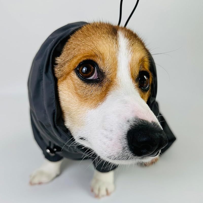 ○犬服○ハンドメイド 胴58 NO.658 フレブル ハンドメイド