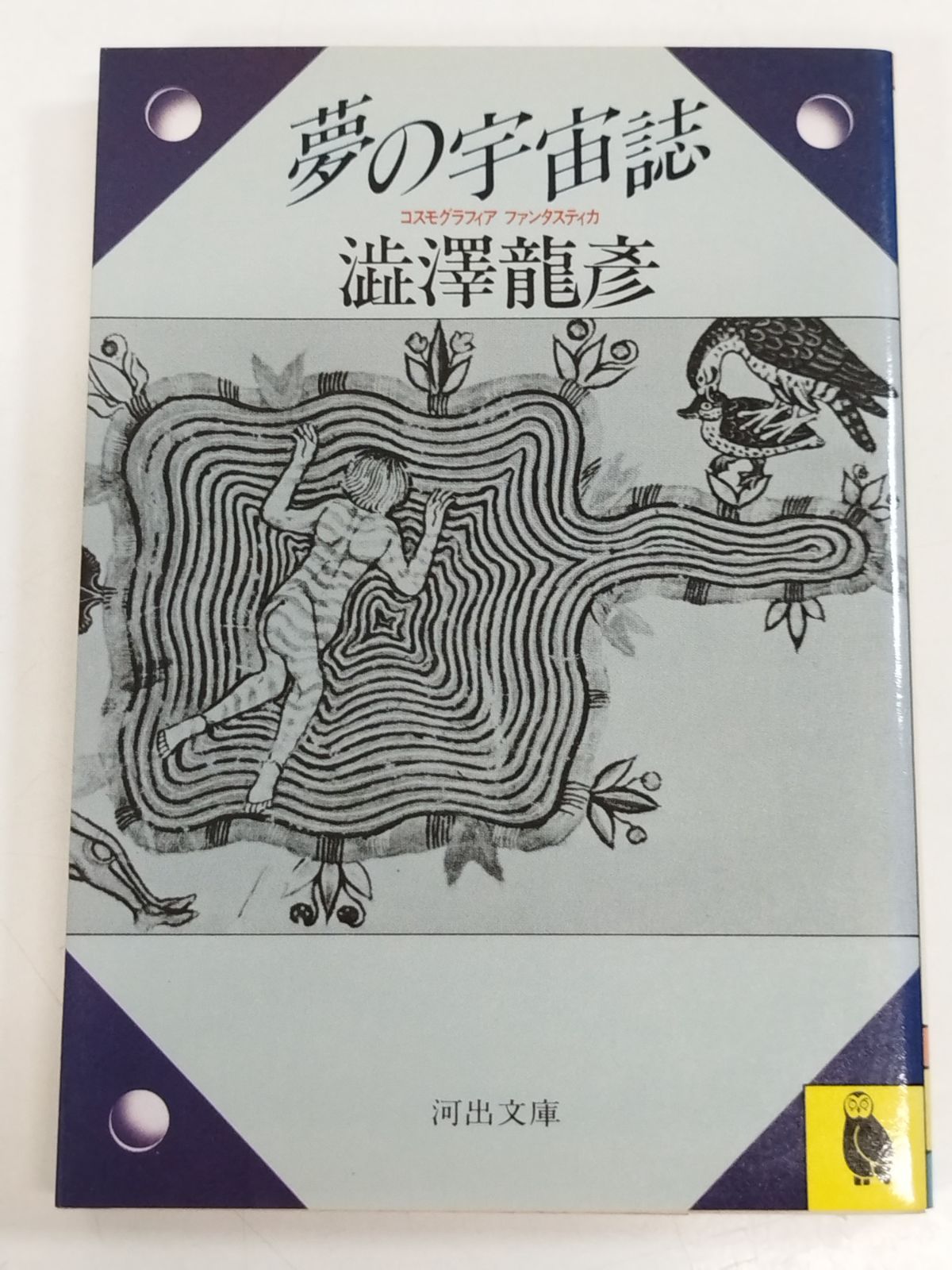 夢の宇宙誌 コスモグラフィア ファンタスティカ/澁澤龍彦/河出