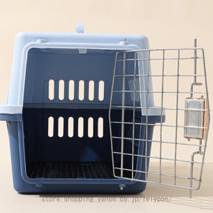 小型犬