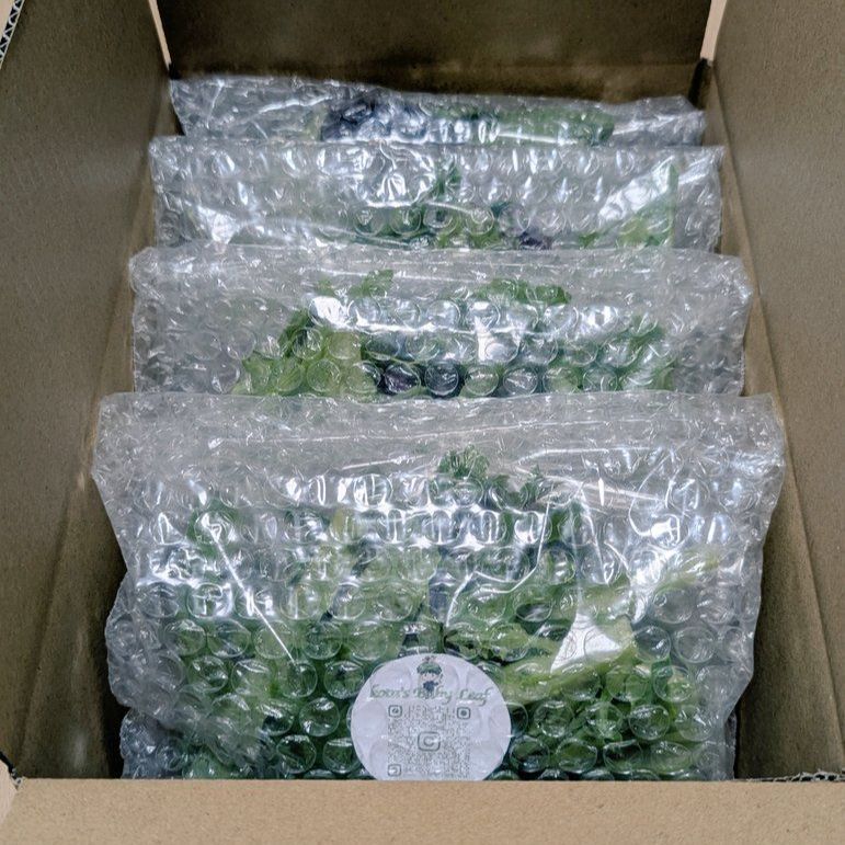 kota’s Baby Leaf（群馬県産　ベビーリーフ） コメント用 群馬県産ベビーリーフ kota's Baby Leaf 50g x 4袋 - メルカリ