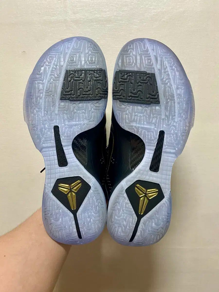 275 NIKE(ナイキ) コービー 5 プロトロ バスケットシューズ