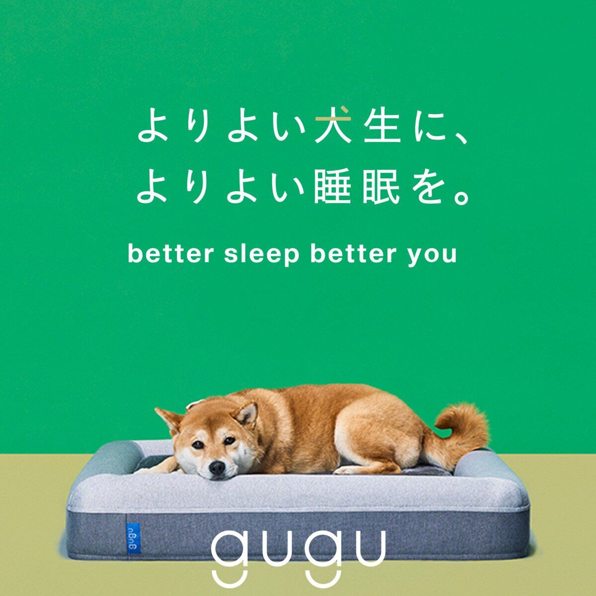M サイズ