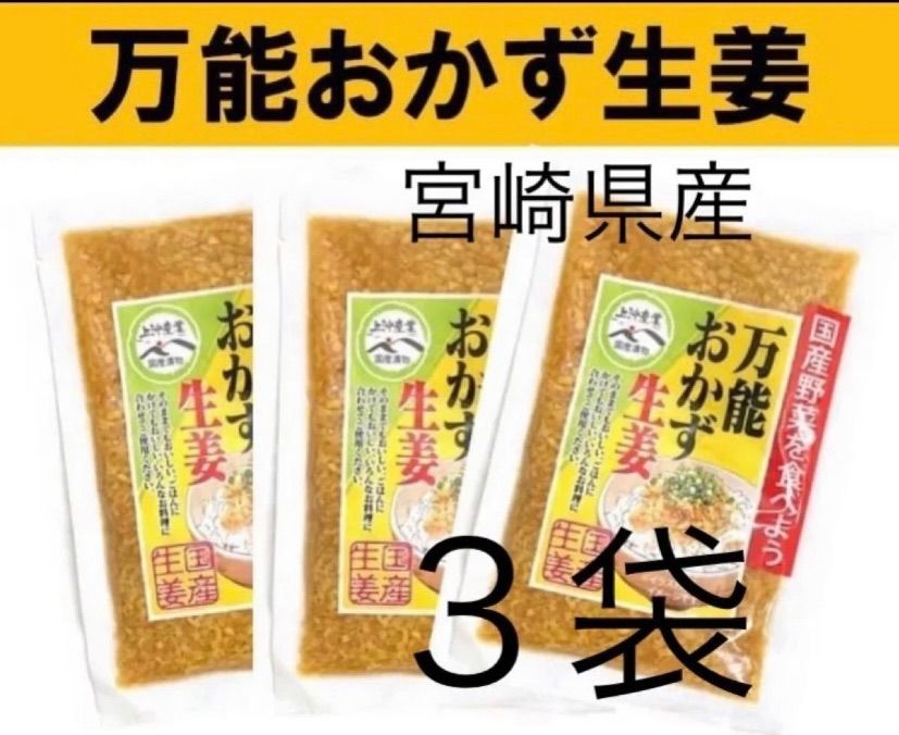 宮崎のお漬物】万能おかず生姜 130ｇ×3袋 上沖産業 - 宮崎のお漬物