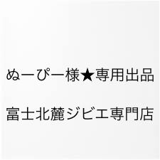 ぬーぴー様、専用出品です！