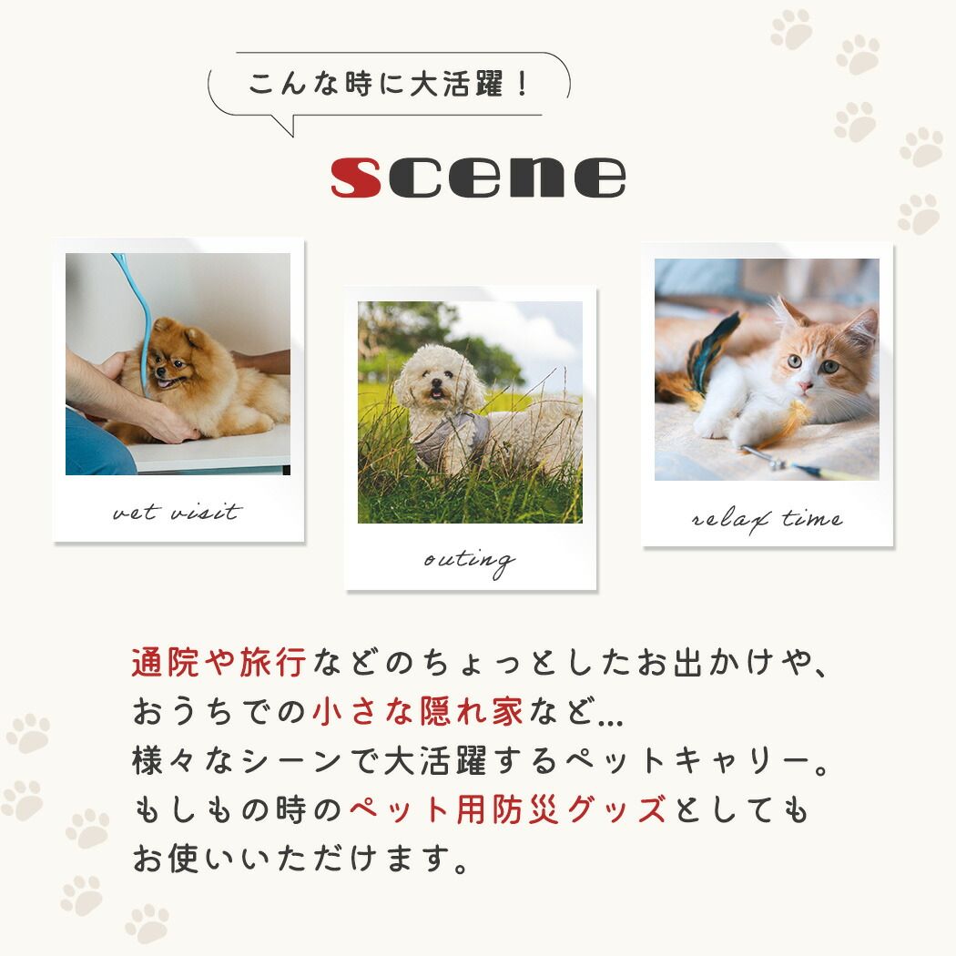飛び出し防止