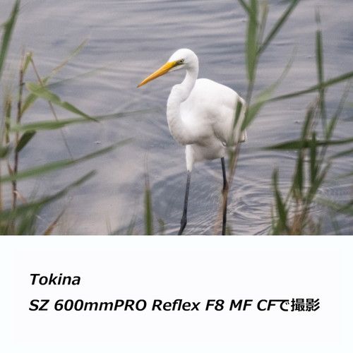  トキナー SZ 600 mm F 8 PRO Reflex MF CF ソニーE用 その他 カメラ
