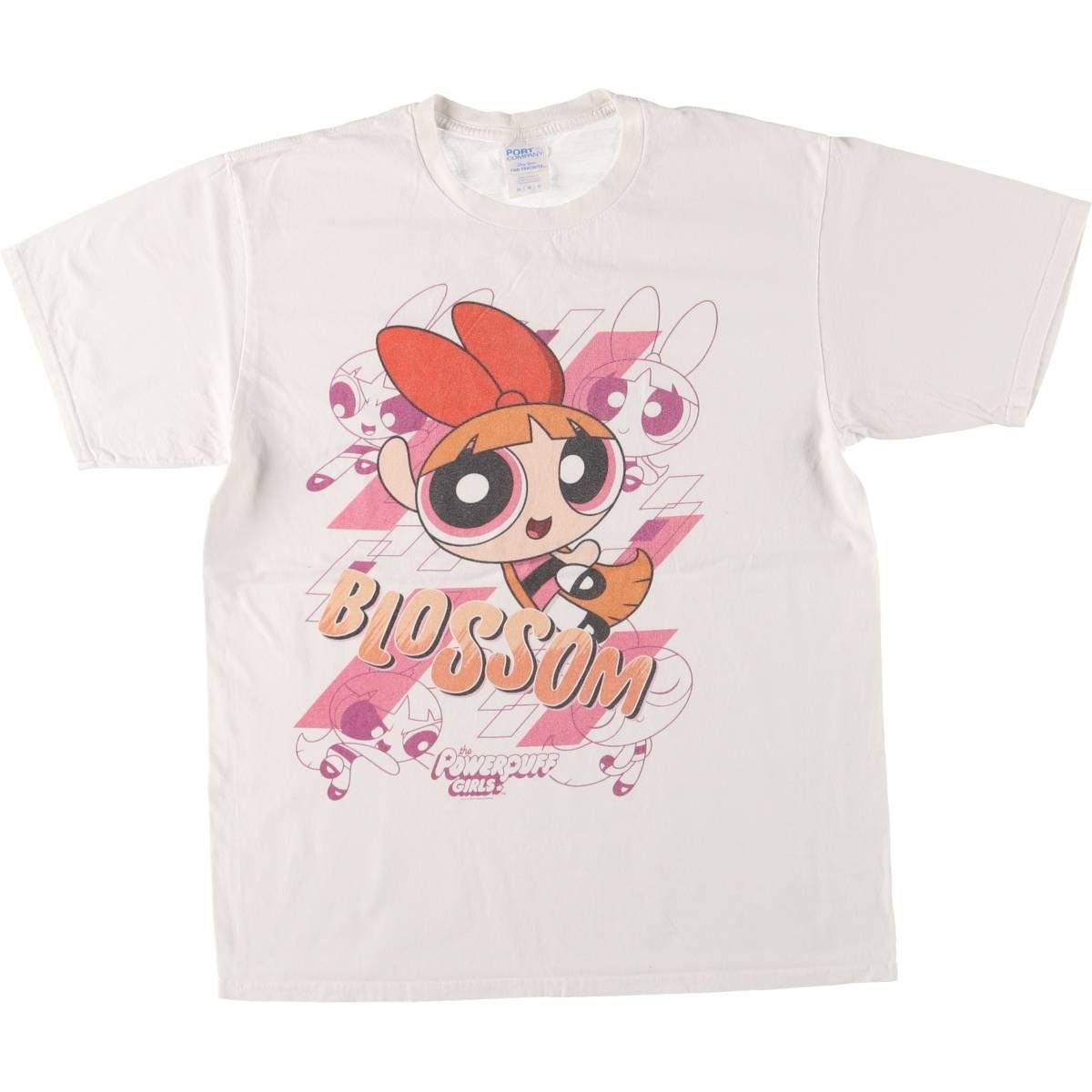 古着 PORT-COMPANY THE POWERPUFF GIRLS パワーパフガールズ ブロッサム キャラクタープリントTシャツ レディースM相当|eaa547451