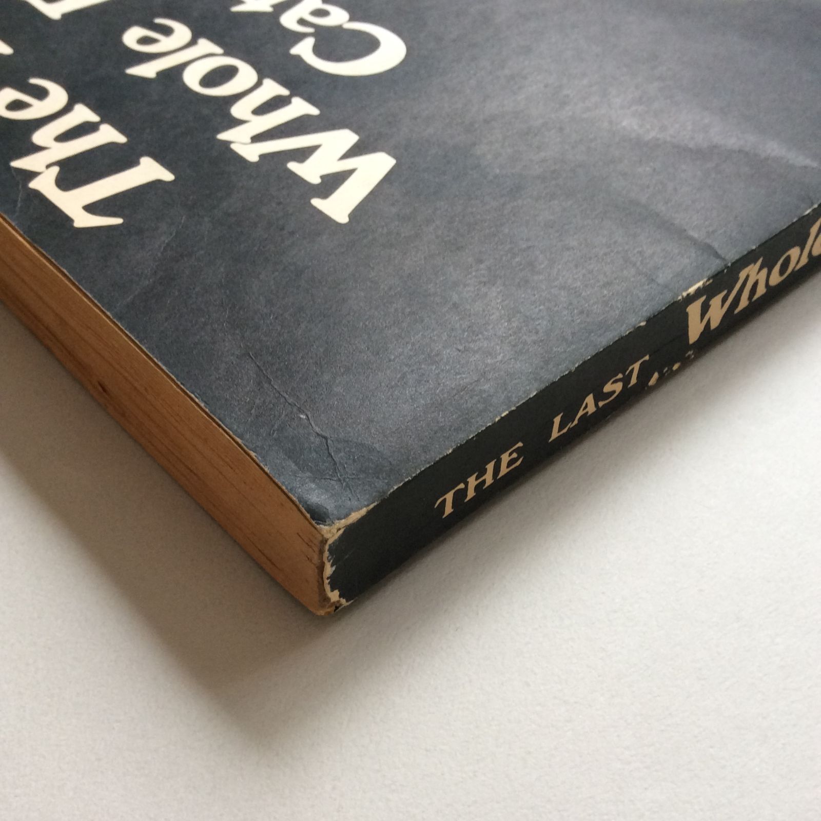 The Last Whole Earth Catalog ラストホールアースカタログ（1