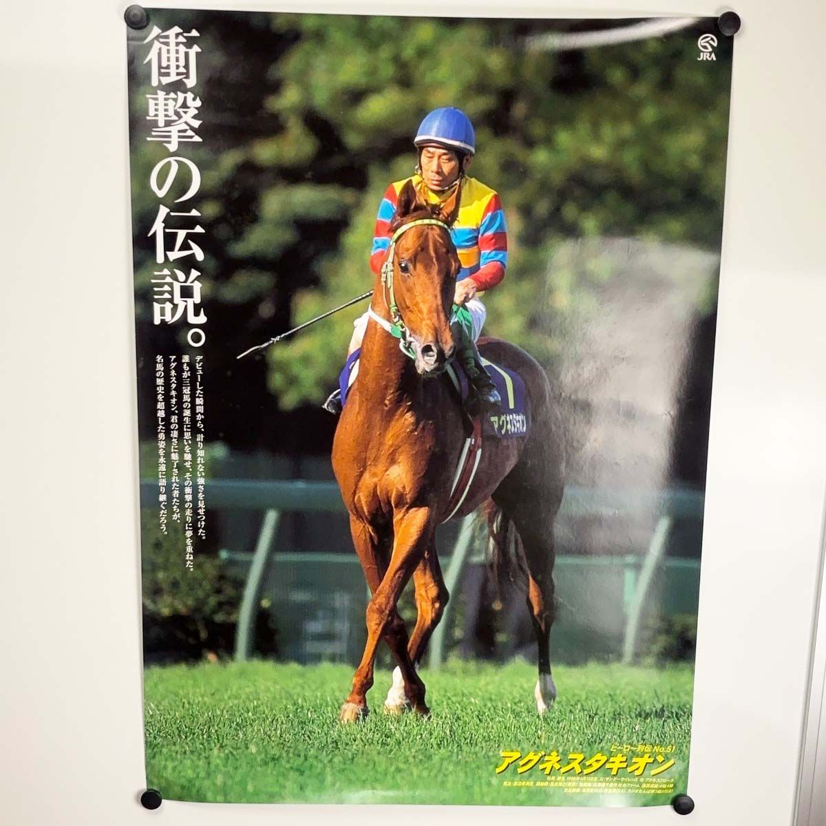 ヒーロー列伝 No.51 アグネスタキオン ポスター B2サイズ 競馬 JRA
