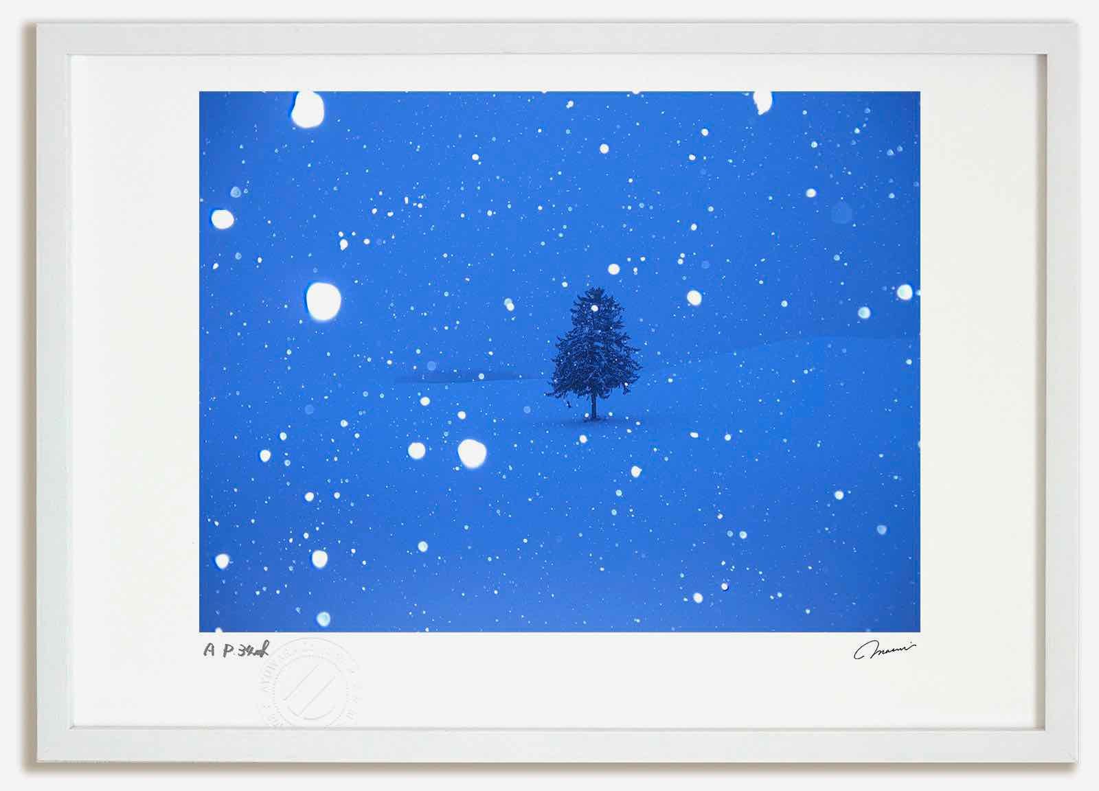 アートフォト 絵画 春よ恋の木2 高橋真澄 インテリア 額入り 額装込 風景画 油絵 ポスター アート アートパネル リビング 玄関 プレゼント モダン アートフレーム 飾る Mサイズ おしゃれ 壁掛け 絵