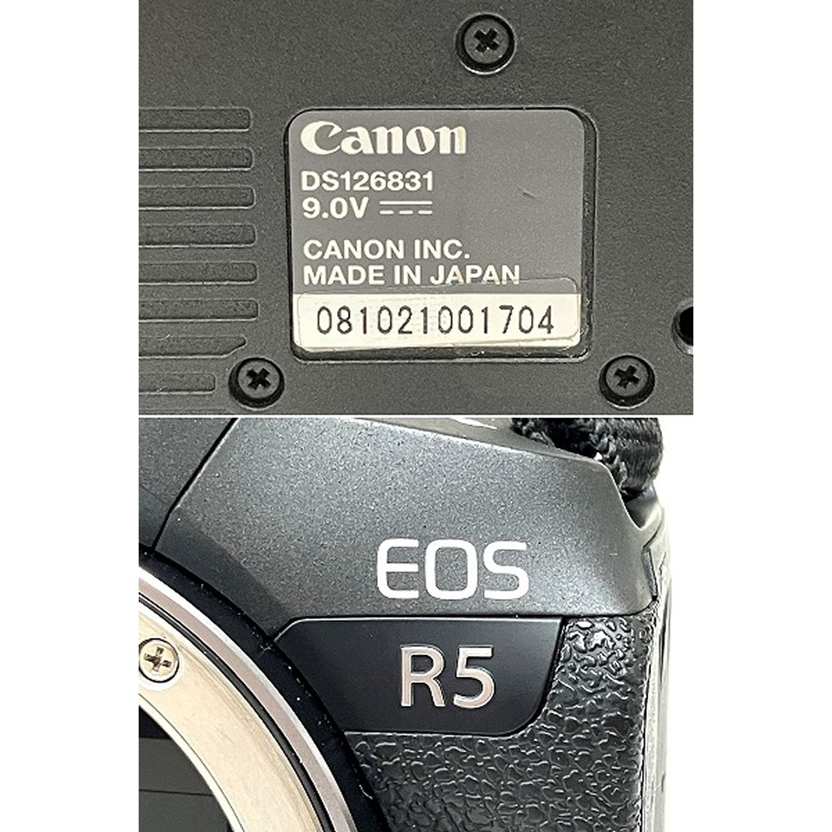 Canon EOS R5 ミラーレス 一眼レフ カメラ ボディ 撮影機器