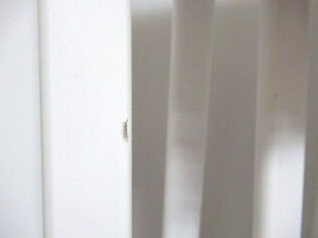 Woody セーフティプレート×1