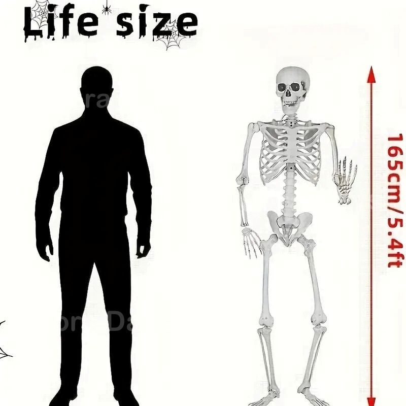 ガーデンオブジェ 特大 スカル ハロウィン 骨関節可動式 頭部 首 取り外し 面白い 楽しい レトロ アンティーク風 ポップ インテリア 北欧 屋外 ハロウィン 飾り 装飾 雑貨 バー パーティー ディスプレイ クリスマス アーティフィシャル 165cm