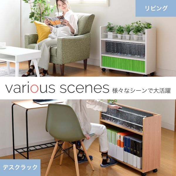 DVD 本