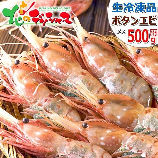 ボタンエビ 500g (BFL/メス子持ち/8-10尾入り/生冷凍) えび エビ 海老 ぼたんえび 牡丹海老 お刺身 ギフト 贈り物 ご自宅用 ご家庭用 お家用 北海道 北海道直送 グルメ お取り寄せ