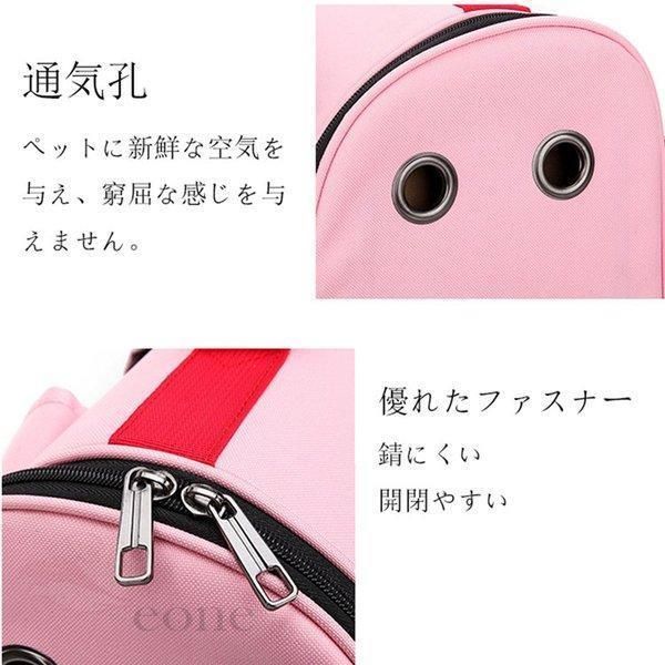 おしゃれ 子猫用