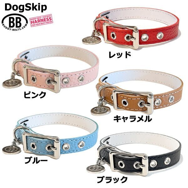 BB ID カラー 首輪 5号 バディーベルト buddybelt バディベルト シンプル かわいい おしゃれ カラー かっこいい ブランド オシャレ  チワワ トイプードル 軽い 超小型犬 小型犬 中型犬 大型犬 シンプル 柴犬 フレンチブルドッグ 多頭 チワ - メルカリ