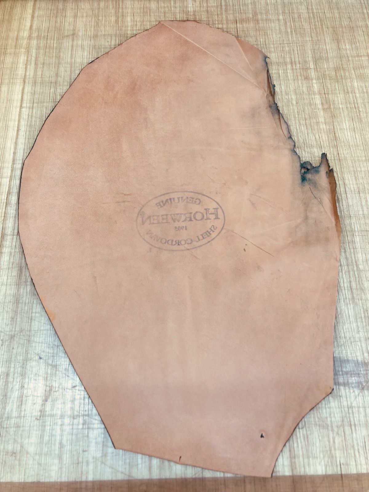 オマケつき⭐︎小学館の図鑑NEO 学研の図鑑 move 21冊セット 講談社の