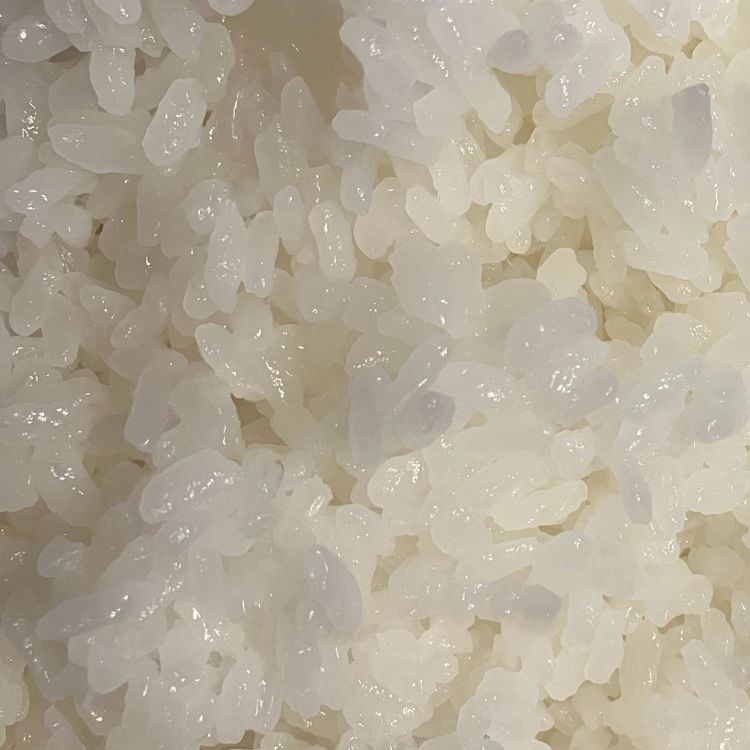 新米【丹波篠山コシヒカリ】玄米/20㎏ 令和5年産〈単一原料米〉食味値