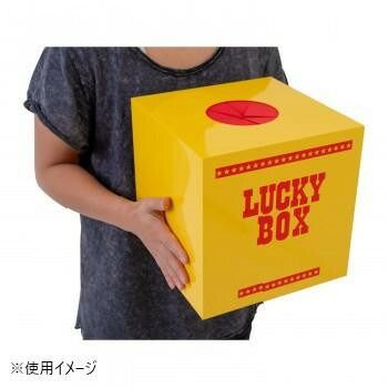 限定セール 抽選ボックス(大) 7819 パーティグッズ