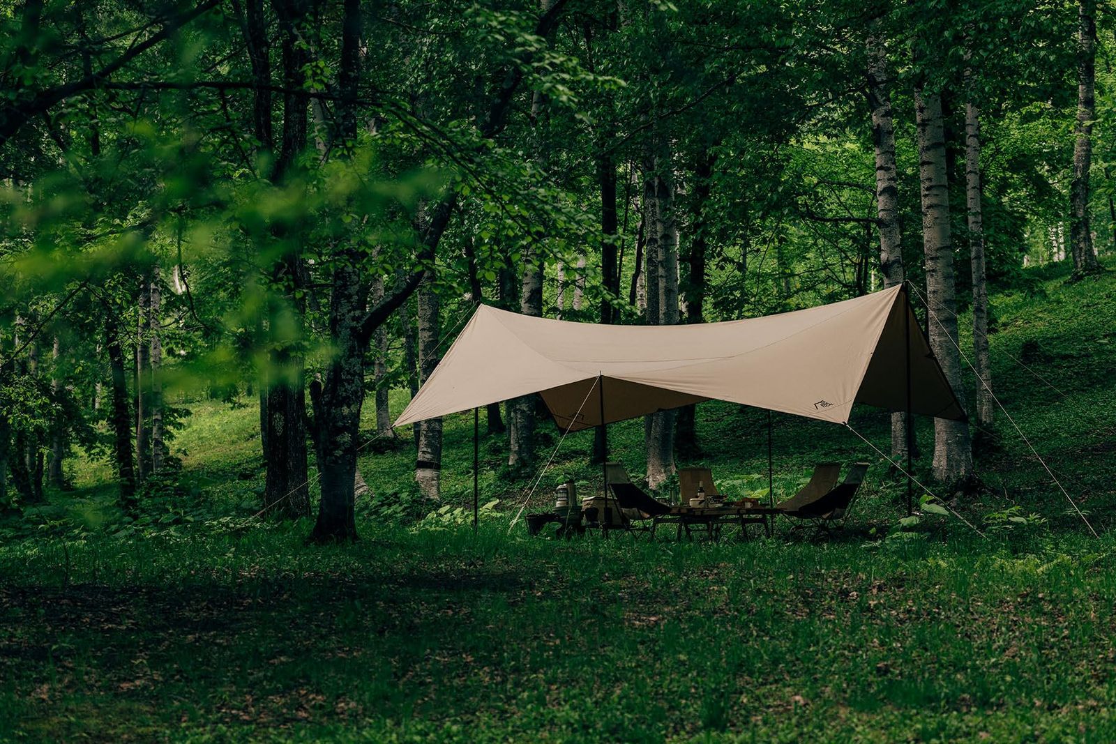 SABBATICAL マリポサ M 【公式通販】