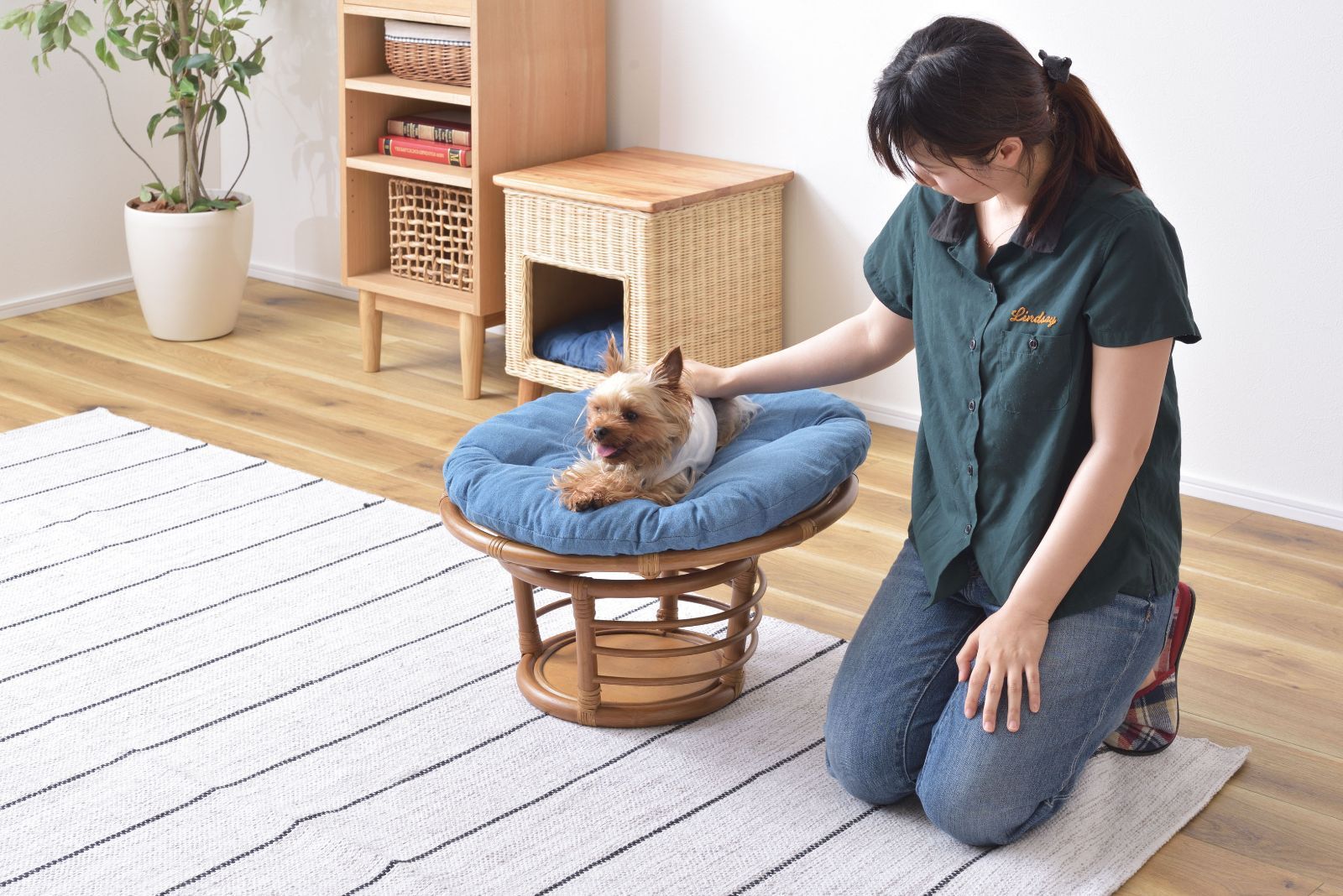 本州送料無料 ペットスツール ペットハウス ラウンド ネイビー 静的耐荷重80kg ラタン クッション付き インテリア 直径約55cm×H35
