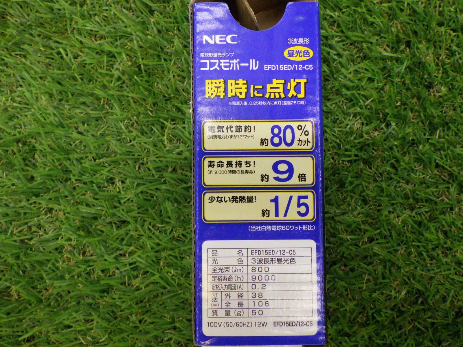 昼光色 60サイズ発送