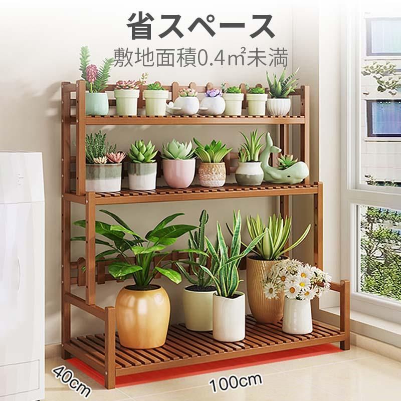 エゴの木(桃花)大幹小品盆栽 エゴの木(桃花)大幹小品盆栽 エゴの木(桃花)大幹小品盆栽