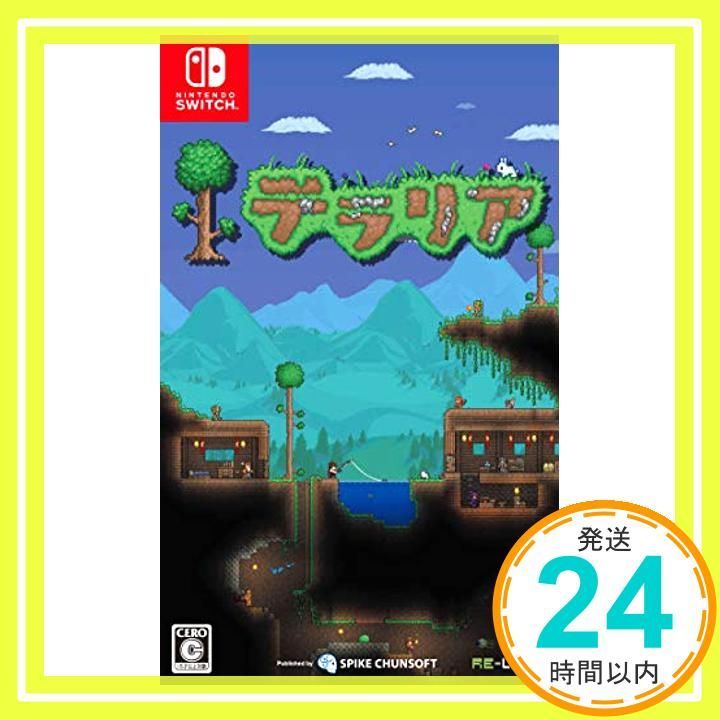 テラリア -Switch video game _02