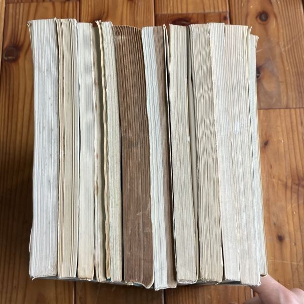 東洋医学関連書籍 13冊セット まとめ 中文書 中国語 中医大辞典