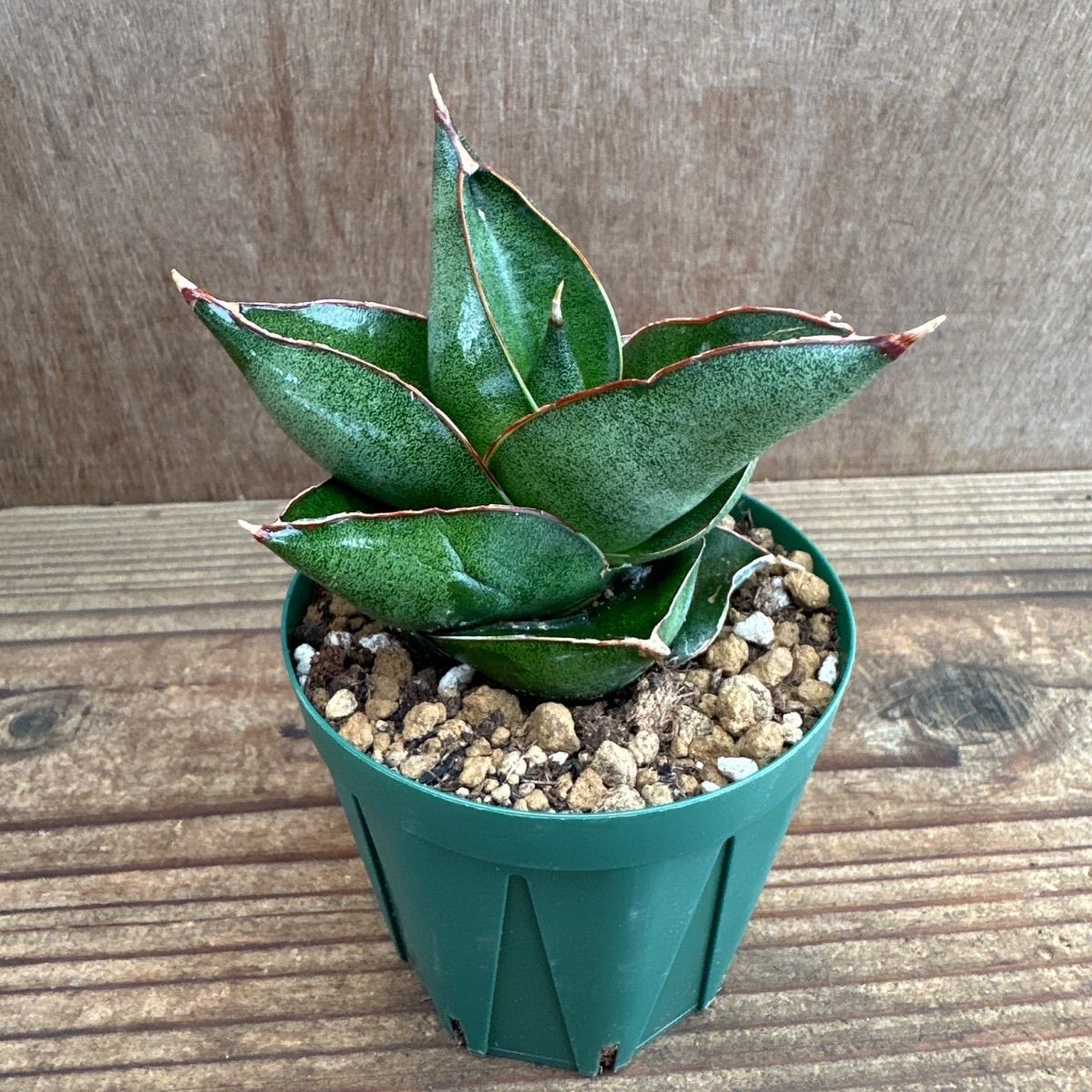 引き取り可能【美品】村内家具 2人掛けソファ 村内ファニチャー