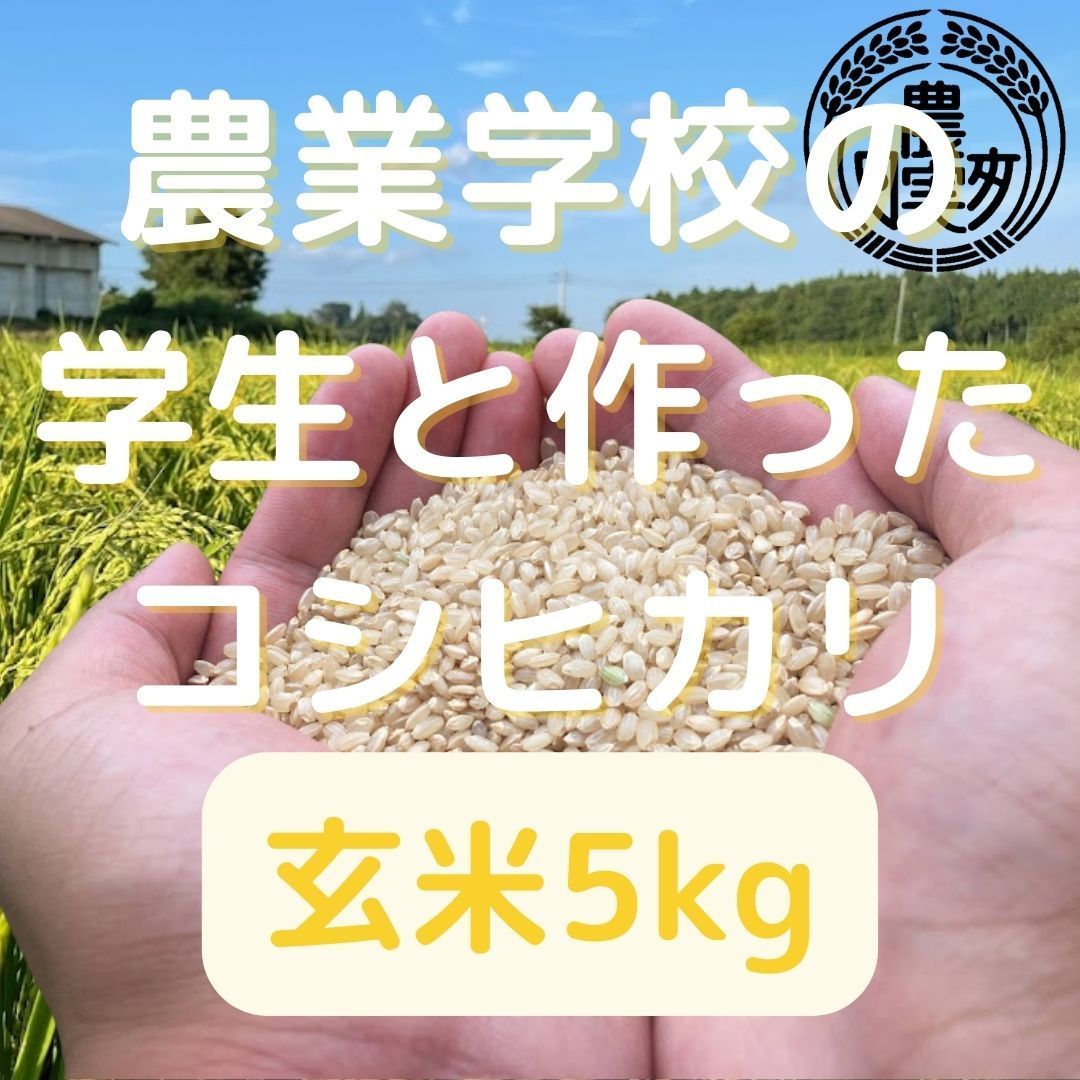 農業学校の学生と作った【コシヒカリ】玄米5kg　【令和６年産新米】お米5キロ