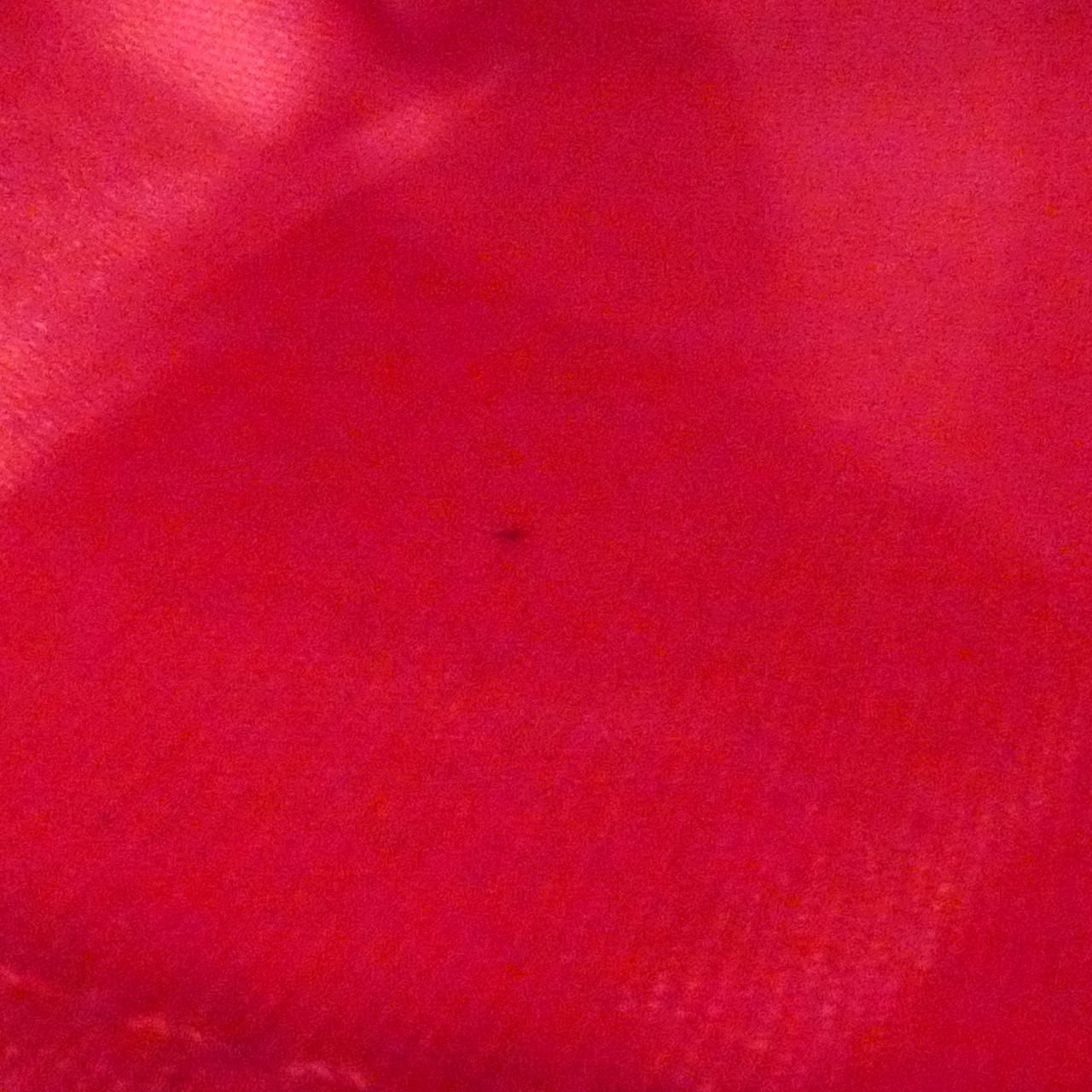 ヴェルニ ウィルシャー