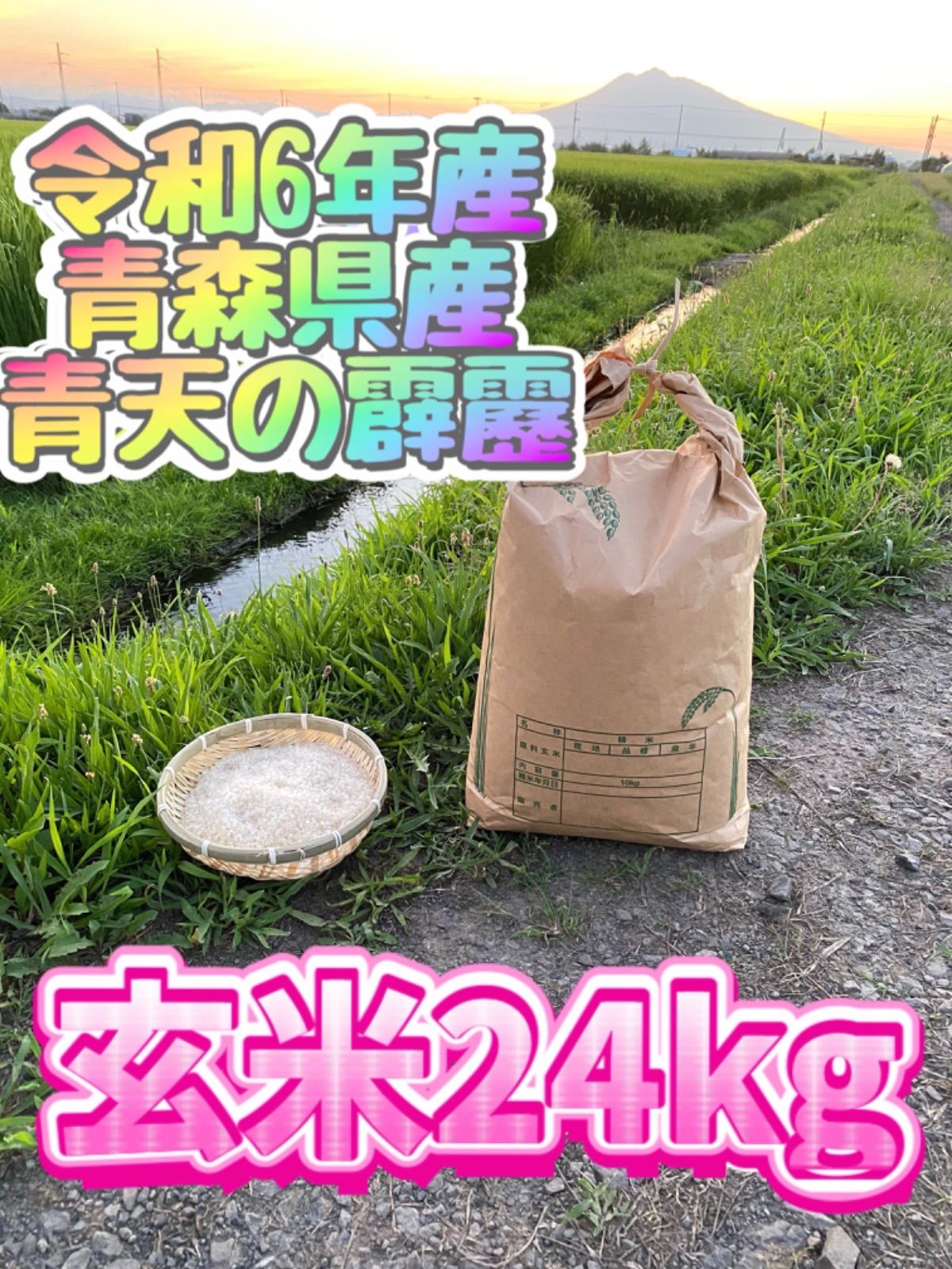 令和6年度産❗️青森県産 最高峰ブランド米「青天の霹靂」24キロ玄米 - メルカリ