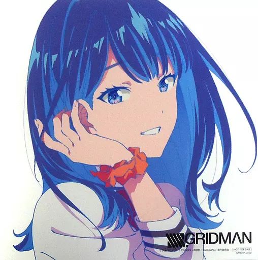 SSSS.GRIDMAN 宝多六花 デカジャケット 中古】紙製品(キャラクター) 宝多六花(パッケージイラスト) デカ