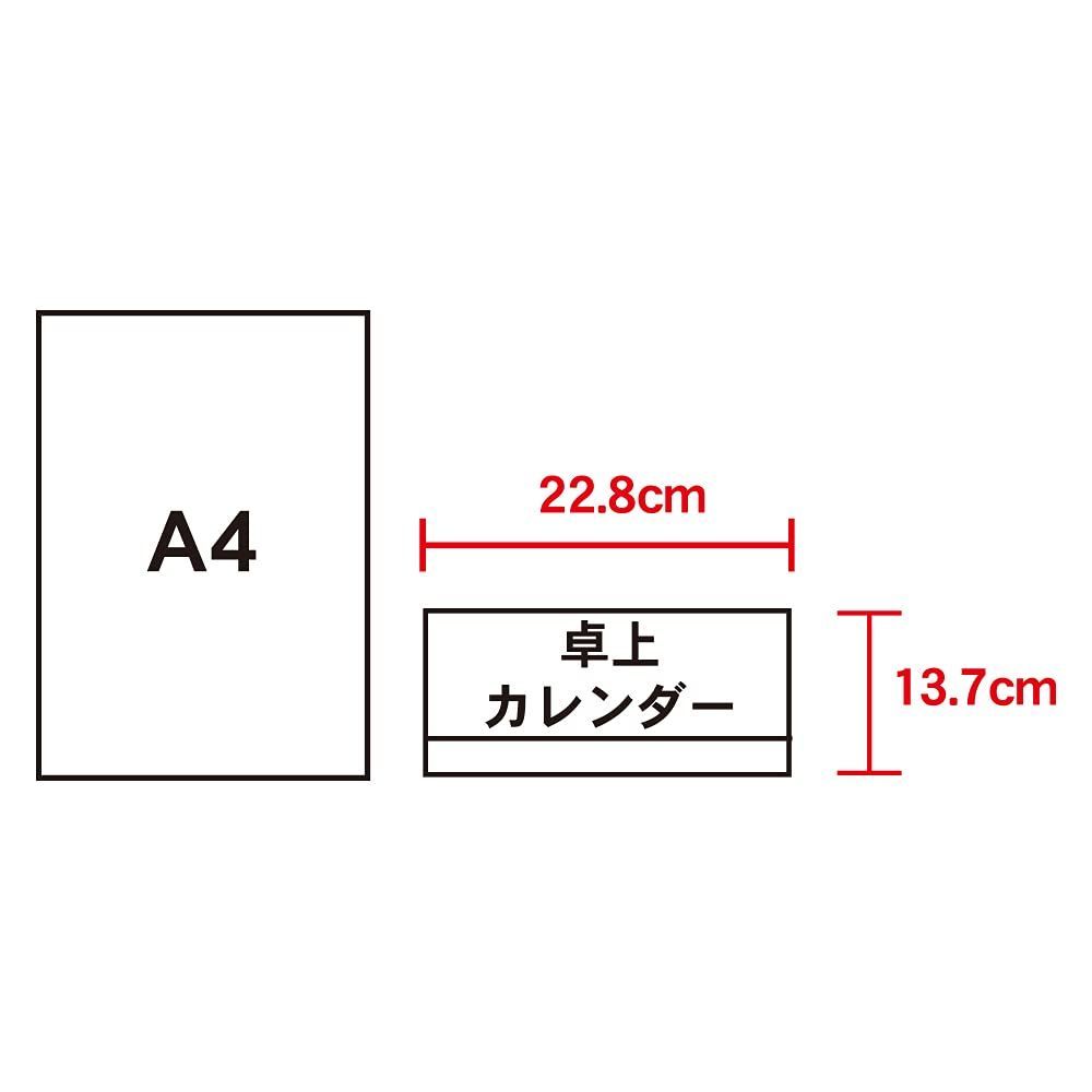 数量限定】年表付 NK8544 スリーマンスプラン 卓上 カレンダー 2024年