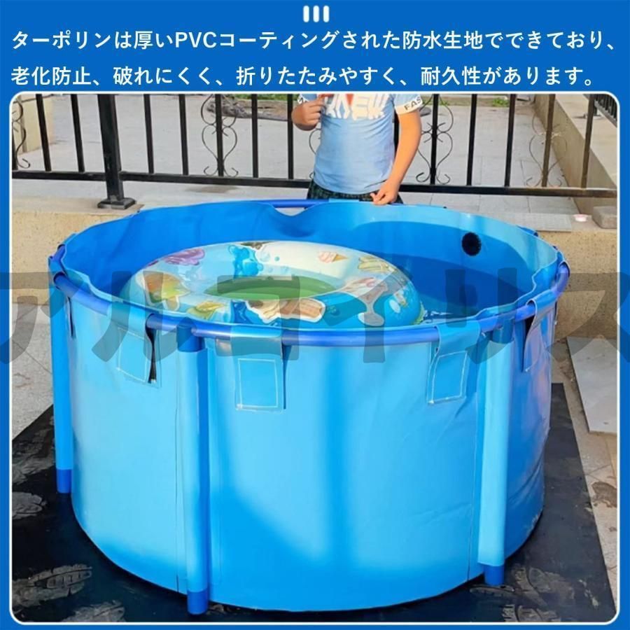 庭の池