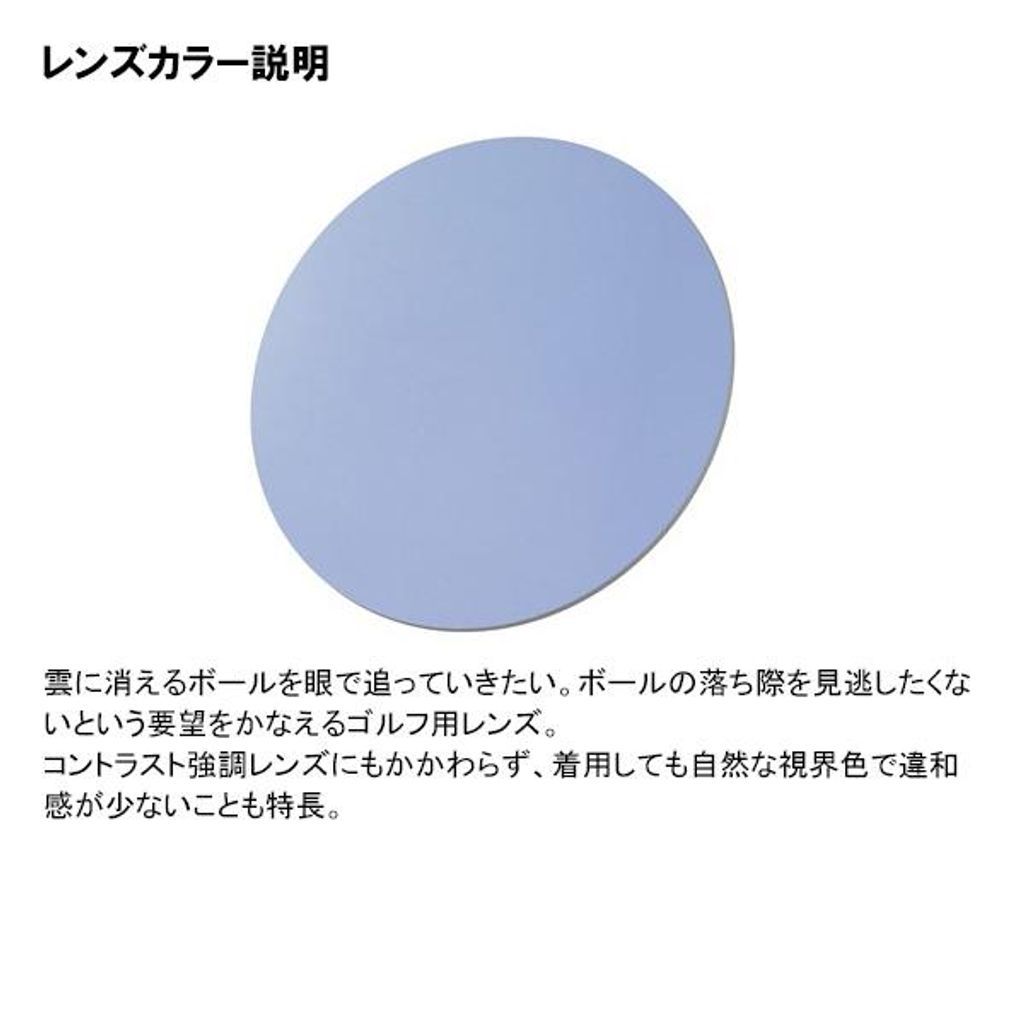 サングラス LION