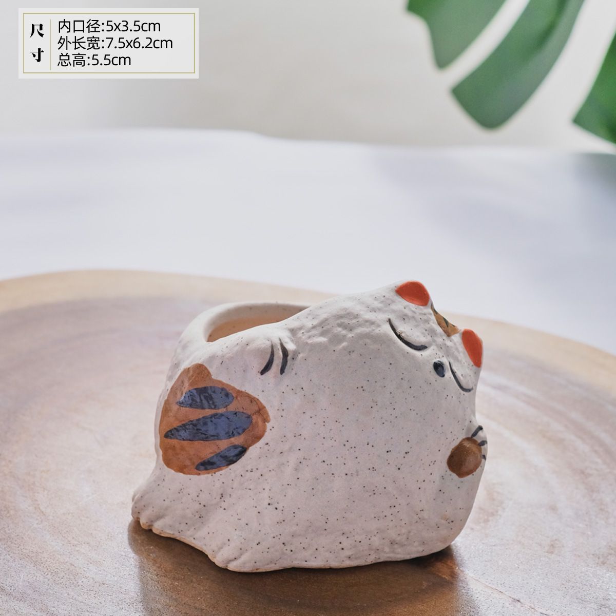 多肉植物 サボテン