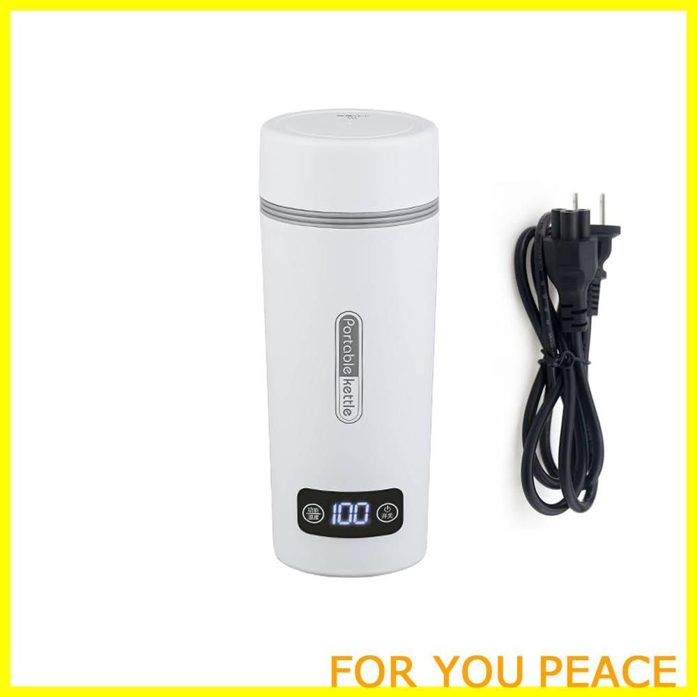 ロボティクス・ノーツ 円盤購入特典 ロボ部ブリキ缶製ミニトランク