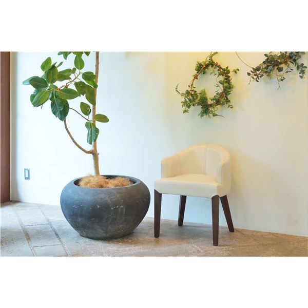 ダイニングチェア 木製 肘掛け HOC-55IV アイボリー