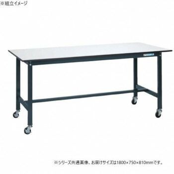 サカエ 軽量作業台SELタイプ 抗菌加工 ダークグレーキャスター付 1800×750×810mm SEL-1875PR