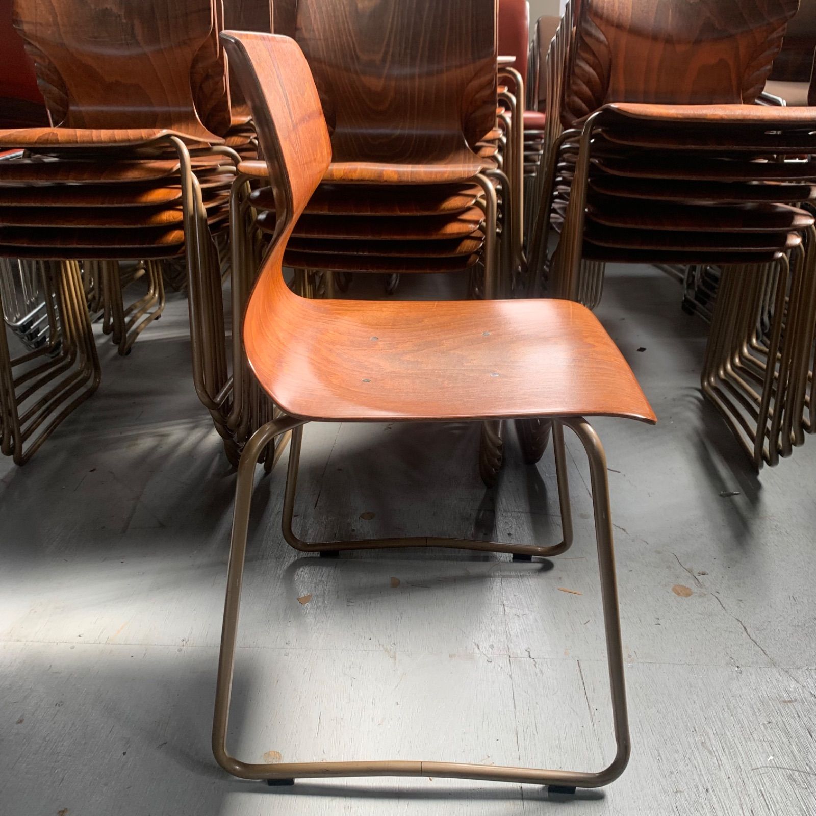 AICHI パグホルツ③ ダイニングチェア アイパグ スタッキング 椅子