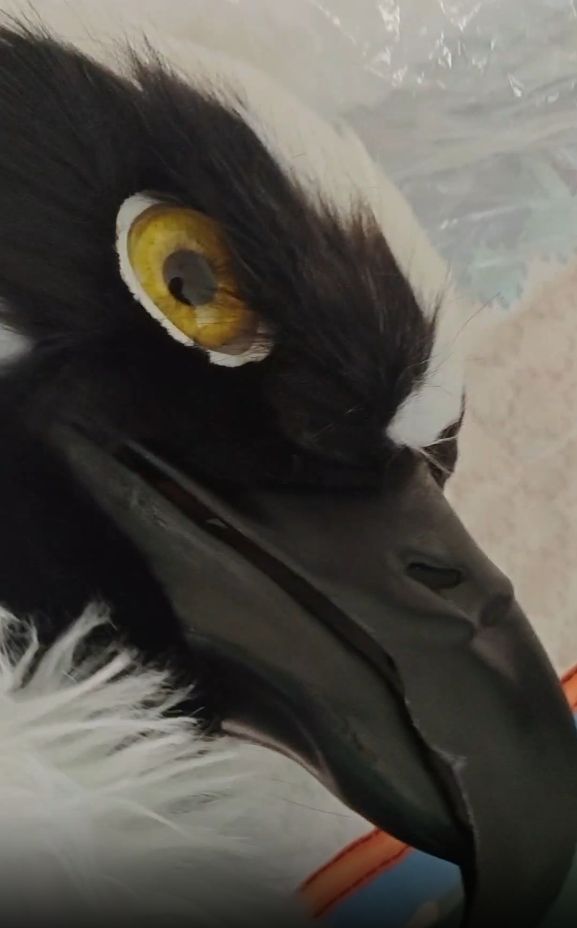 鳥 NO.93