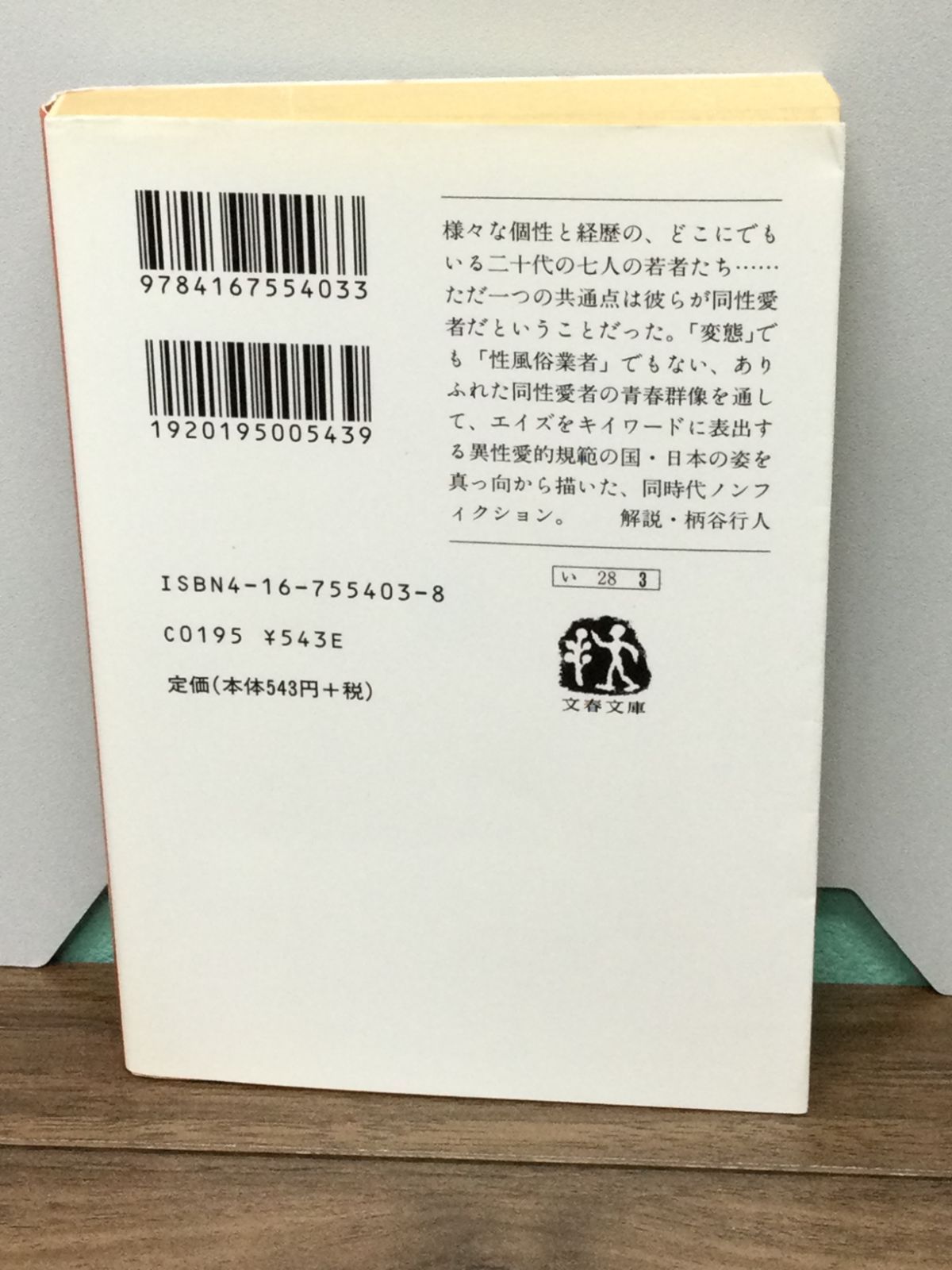 サワラ☆ツール トローリング 潜航板 タケダ重工 - フィッシング