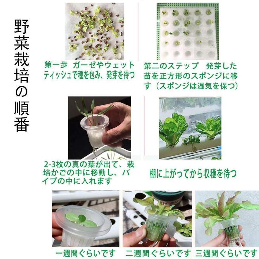 プランター
