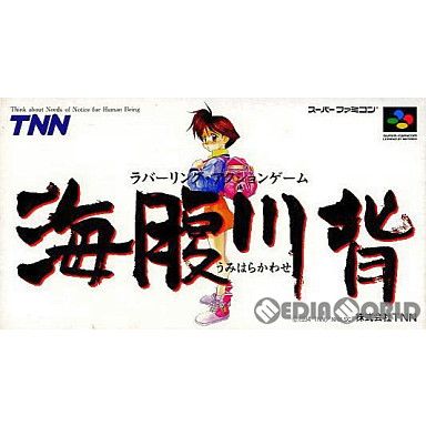 スーパーファミコン ソフト 海腹川背(うみはらかわせ) TNN スーパーファミコン ソフト 海腹川背(うみはらかわせ) TNN