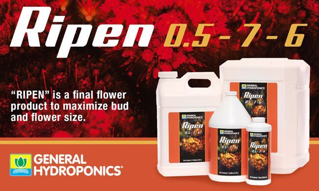 Ripen 946ml